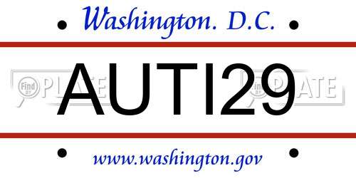 AUTI29 District Of Columbia License Plate