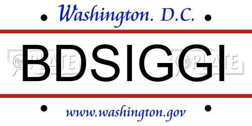 BDSIGGI District Of Columbia License Plate