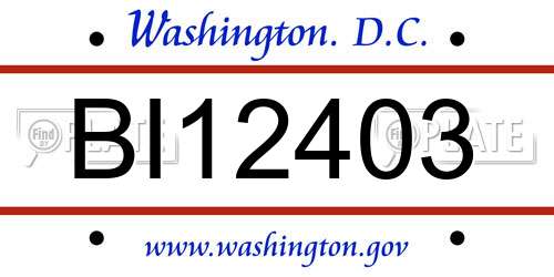 BI12403 District Of Columbia License Plate