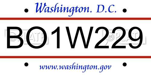 BO1W229 District Of Columbia License Plate