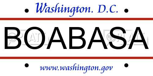 BOABASA District Of Columbia License Plate