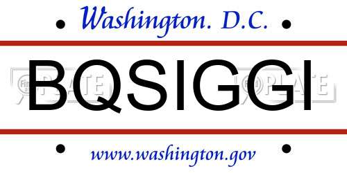 BQSIGGI District Of Columbia License Plate