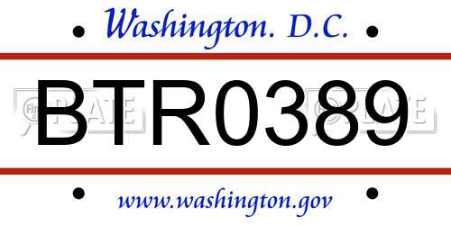 BTR0389 District Of Columbia License Plate