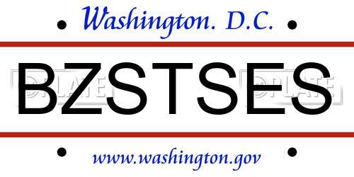 BZSTSES District Of Columbia License Plate