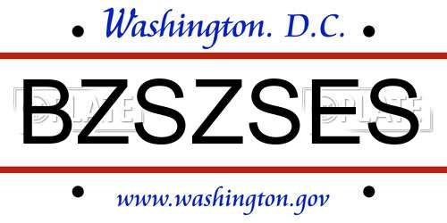 BZSZSES District Of Columbia License Plate