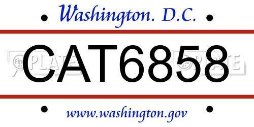 CAT6858 District Of Columbia License Plate