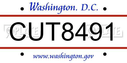 CUT8491 District Of Columbia License Plate