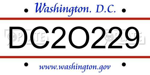DC2O229 District Of Columbia License Plate