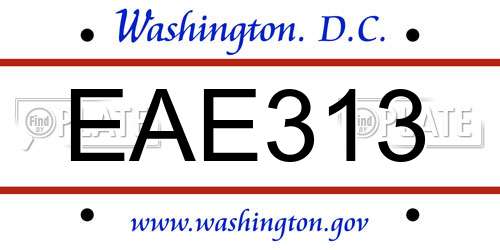 EAE313 District Of Columbia License Plate