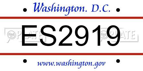 ES2919 District Of Columbia License Plate