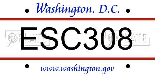 ESC308 District Of Columbia License Plate