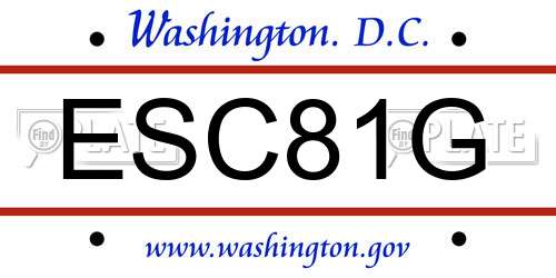 ESC81G District Of Columbia License Plate