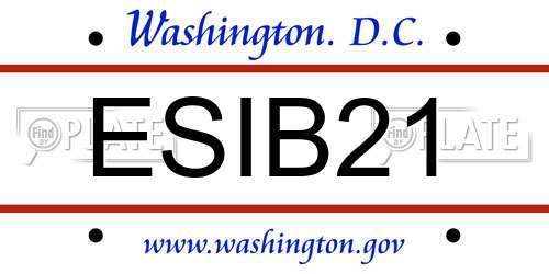 ESIB21 District Of Columbia License Plate