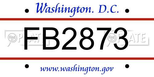 FB2873 District Of Columbia License Plate