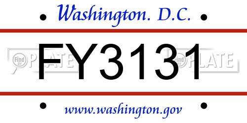 FY3131 District Of Columbia License Plate