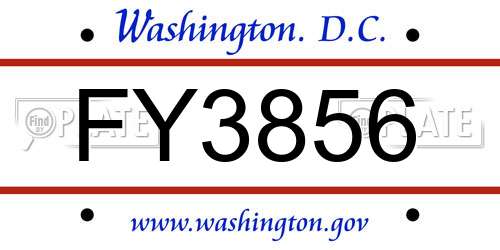FY3856 District Of Columbia License Plate