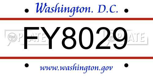 FY8029 District Of Columbia License Plate
