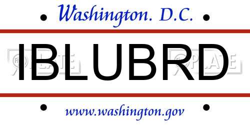IBLUBRD District Of Columbia License Plate
