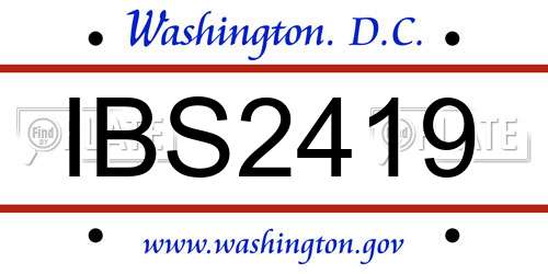 IBS2419 District Of Columbia License Plate