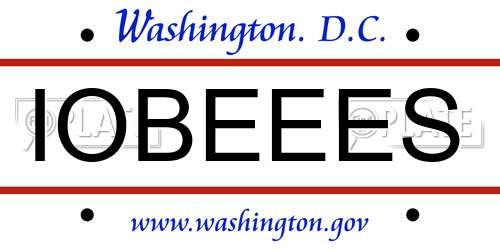 IOBEEES District Of Columbia License Plate
