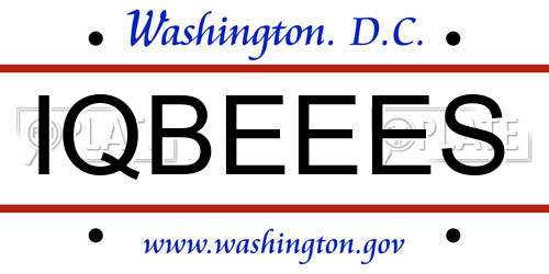 IQBEEES District Of Columbia License Plate