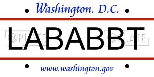 LABABBT District Of Columbia License Plate