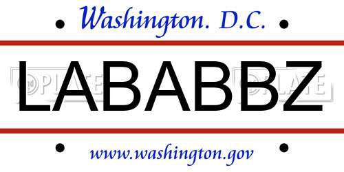LABABBZ District Of Columbia License Plate