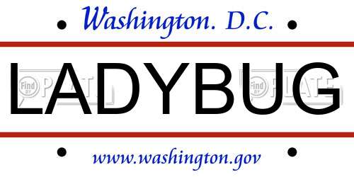 LADYBUG District Of Columbia License Plate