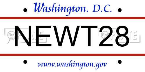 NEWT28 District Of Columbia License Plate