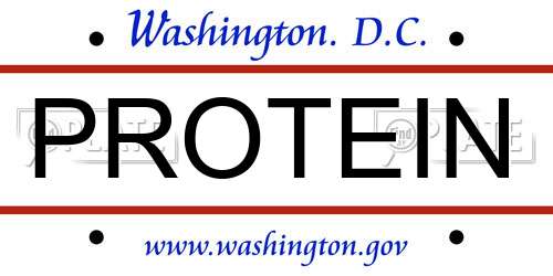 PROTEIN District Of Columbia License Plate
