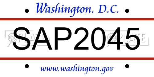 SAP2045 District Of Columbia License Plate