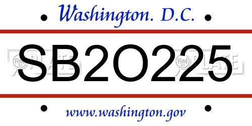 SB2O225 District Of Columbia License Plate
