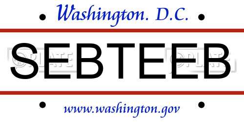 SEBTEEB District Of Columbia License Plate