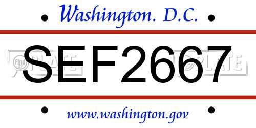 SEF2667 District Of Columbia License Plate