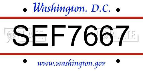 SEF7667 District Of Columbia License Plate
