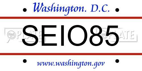 SEIO85 District Of Columbia License Plate