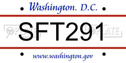 SFT291 District Of Columbia License Plate
