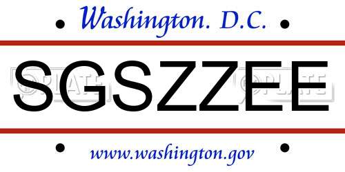 SGSZZEE District Of Columbia License Plate