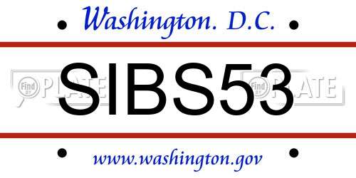 SIBS53 District Of Columbia License Plate