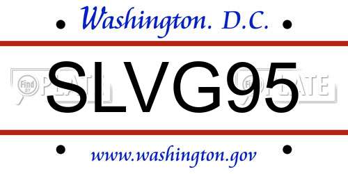 SLVG95 District Of Columbia License Plate