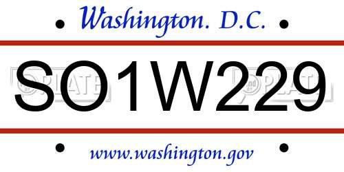 SO1W229 District Of Columbia License Plate