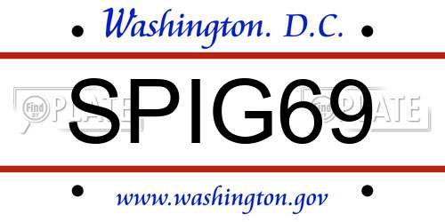 SPIG69 District Of Columbia License Plate