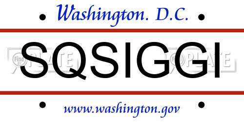 SQSIGGI District Of Columbia License Plate