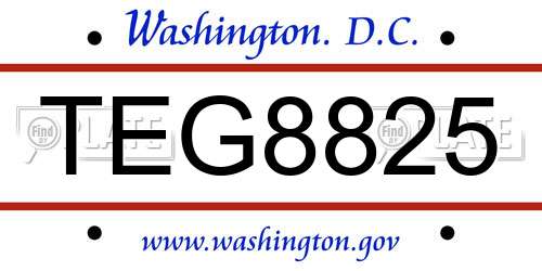 TEG8825 District Of Columbia License Plate