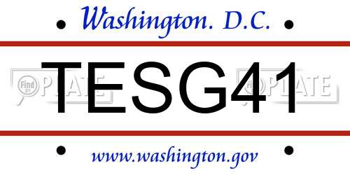 TESG41 District Of Columbia License Plate
