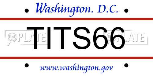 TITS66 District Of Columbia License Plate