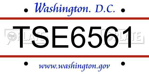 TSE6561 District Of Columbia License Plate