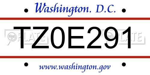 TZ0E291 District Of Columbia License Plate