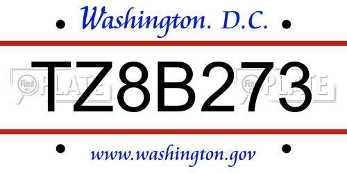 TZ8B273 District Of Columbia License Plate