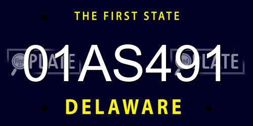 01AS491 Delaware License Plate